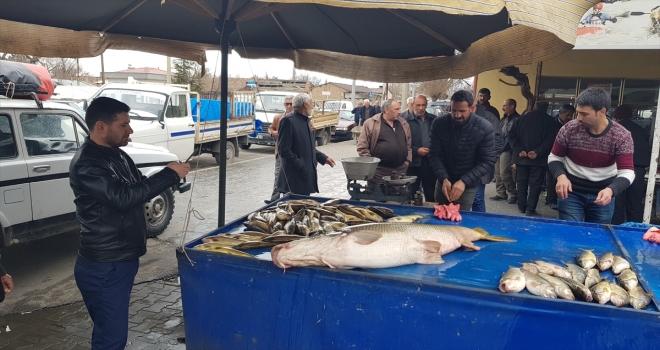 82 kiloluk turna balığı yakalandı