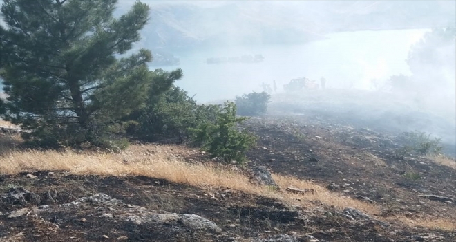Kebanda orman yangını