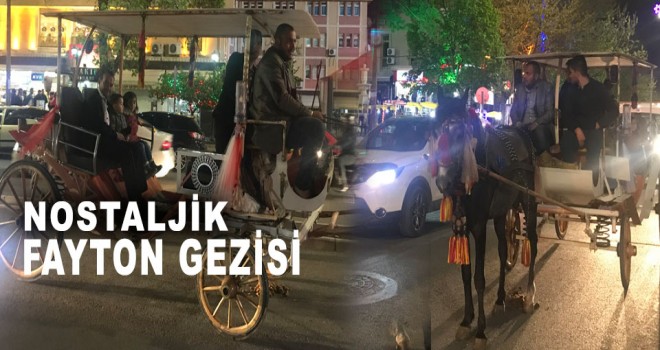 Erzincan'da Fayton Turu