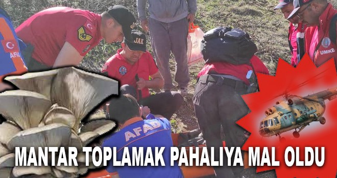 MANTAR TOPLAMAK PAHALIYA MAL OLDU