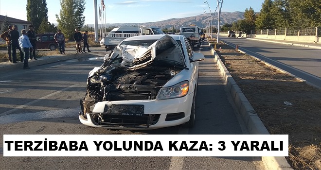 TERZİBABA YOLUNDA KAZA: 3 YARALI