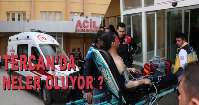 TERCAN'DA SİLAHLI SALDIRI