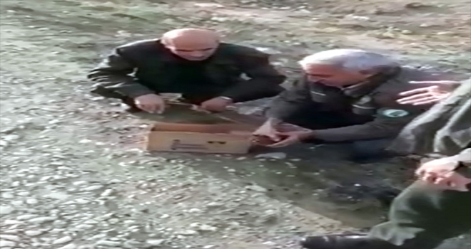 Tedavisi tamamlanan kara akbaba ve çulluk doğaya bırakıldı
