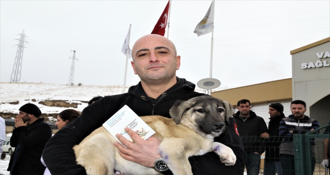 Buzlar kırılarak kurtarılan köpek yavrusu Buz yuvasına kavuştu