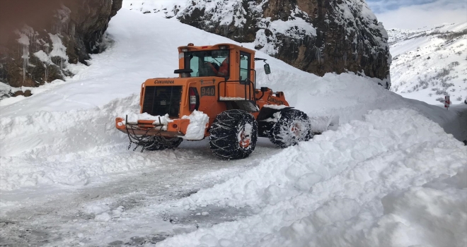 Hakkaride 20 bölgeye düşen çığ temizlendi