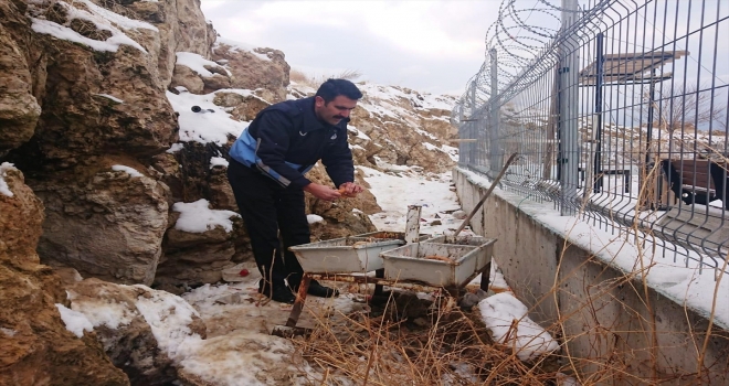 Edremitte sokak ve yaban hayvanları için doğaya yem bırakıldı
