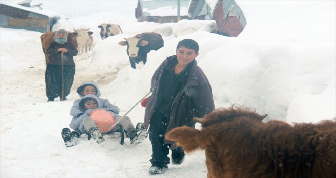 Besicilerin 3 metrelik kardaki çetin kış mücadelesi