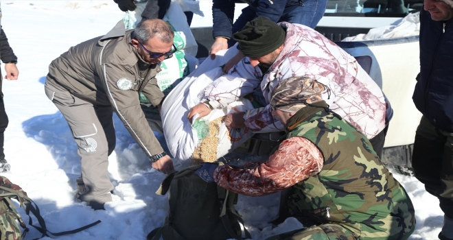 Avcılar 8 ton yemi keklikler için doğaya bıraktı