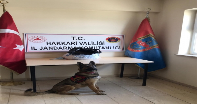Hakkaride yaklaşık 18 kilogram esrar ele geçirildi