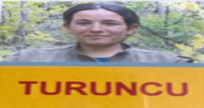Tuncelide terör operasyonu