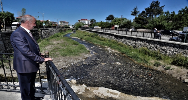 İnci kefalini korumak için komisyon oluştuldu