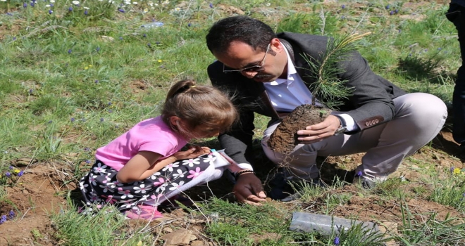 Öğretmen ve öğrenciler 15 Temmuz şehitleri için fidan dikti