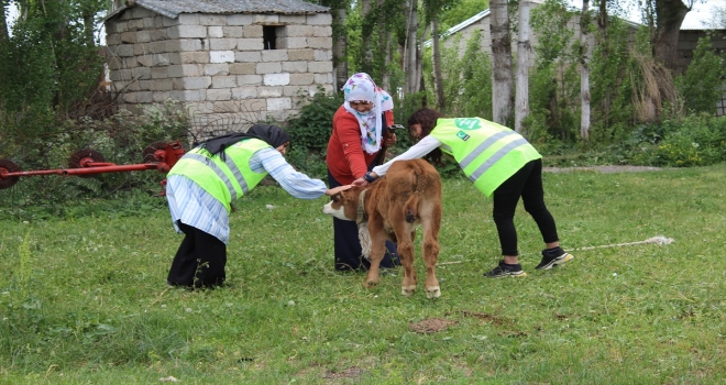 Gönüllüler bayramlaşma kültürünü yaşatmak için köy köy geziyor