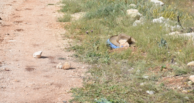 Malatyada akrabalar arasında kavga: 2 ölü