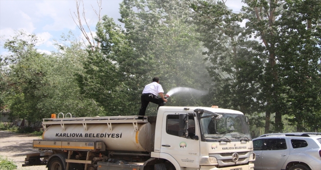 Karlıovada polenlere karşı önlem