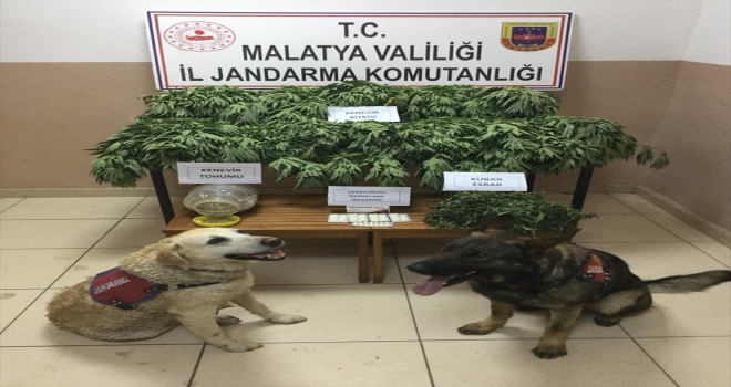 Malatyada uyuşturucu operasyonu
