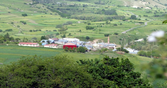 Ardahanda bir köy heyelan riski nedeniyle boşaltıldı