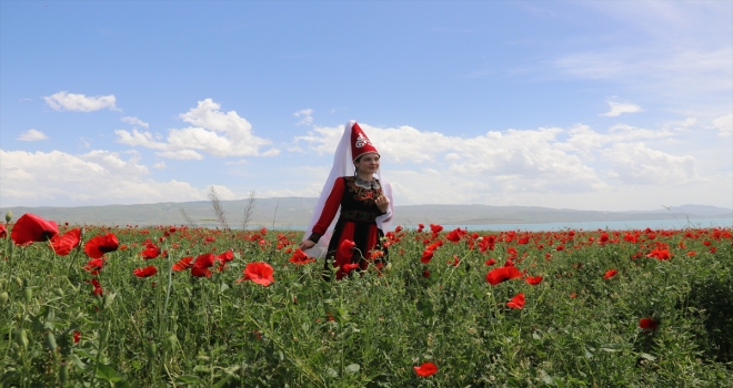 Kırgız Türkleri Ercişi gelincik tarlasıyla tanıtıyor