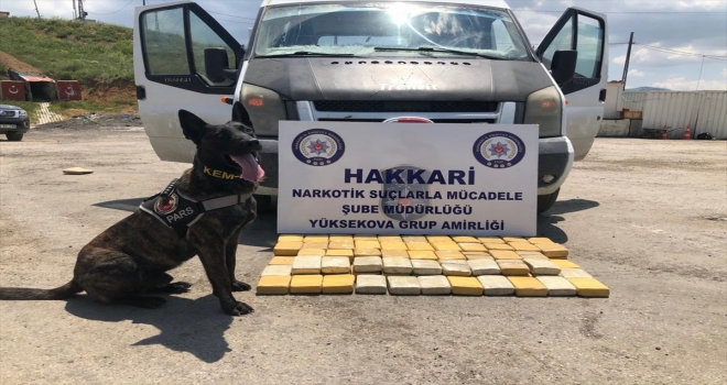 Hakkaride uyuşturucu operasyonu