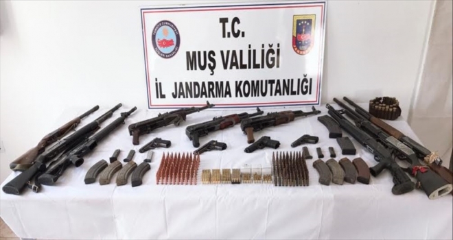Muş ve Bitliste silah kaçakçılığı operasyonu