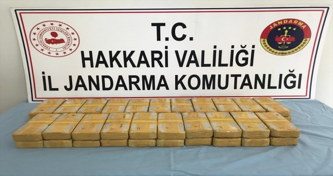 Hakkaride uyuşturucu operasyonu