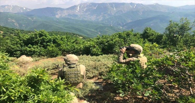 Terör örgütü PKKya Bitliste darbe
