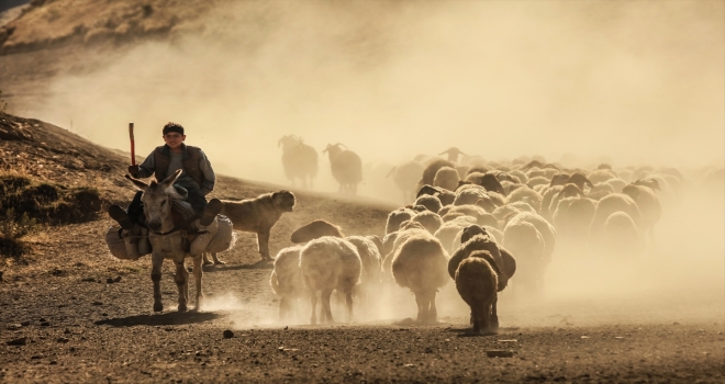 Sürülerin, Nemrut Dağına tozlu yolculuğu