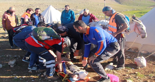 Tuncelide ekipler yaralı çoban için seferber oldu