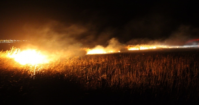 Tarım arazisine düşen yıldırım yangına yol açtı