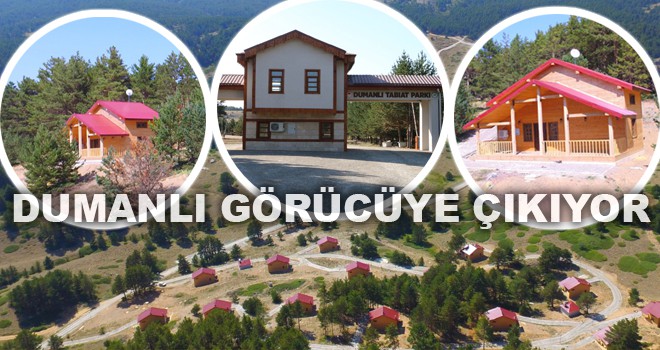 DUMANLI GÖRÜCÜYE ÇIKIYOR