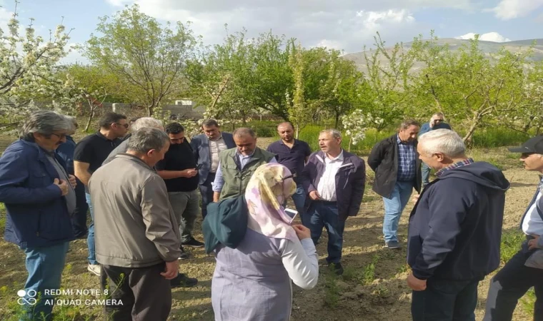 Çiftçiye Budama eğitimi veriliyor