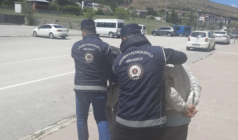 7 Kaçak Göçmen yakalandı