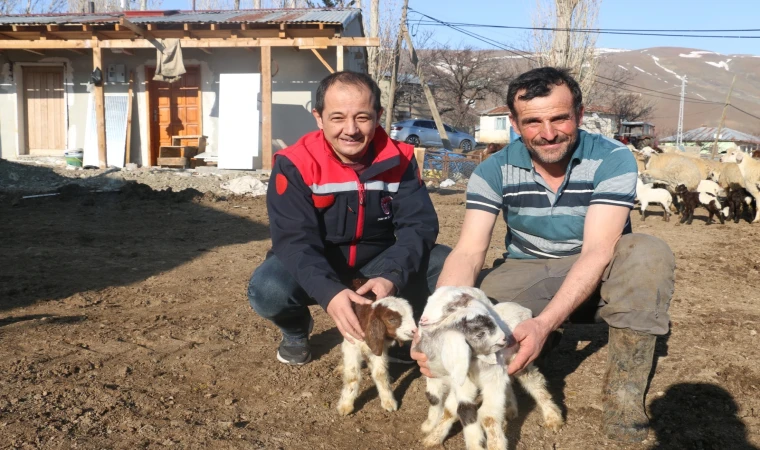 Koyunculuk kredisi 1 milyon 200 bin liraya yükseltildi
