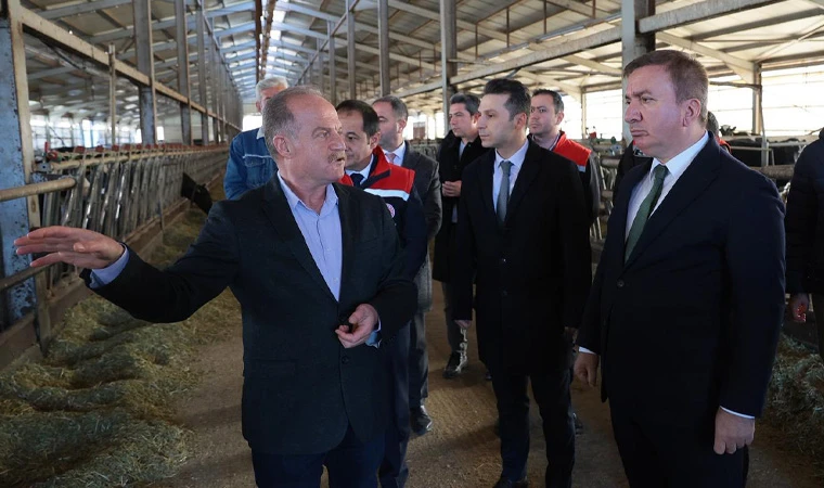 Vali Aydoğdu, Üzümlü’de TKDK Destekli Süt Üretim Tesisini Ziyaret Etti