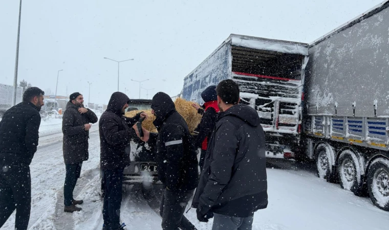 Açlık Riskine Müdahale: Tarım Ekipleri Seferber Oldu