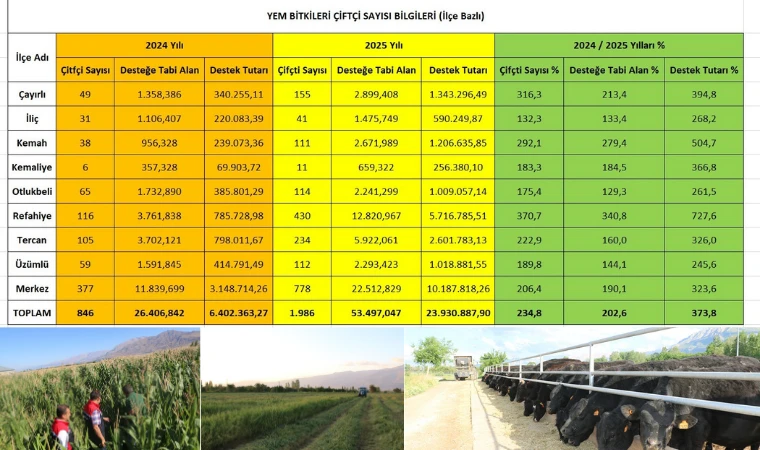 Yem Bitkilerinde Rekor Artış! Destek 1 Yılda Yüzde 373 Yükseldi