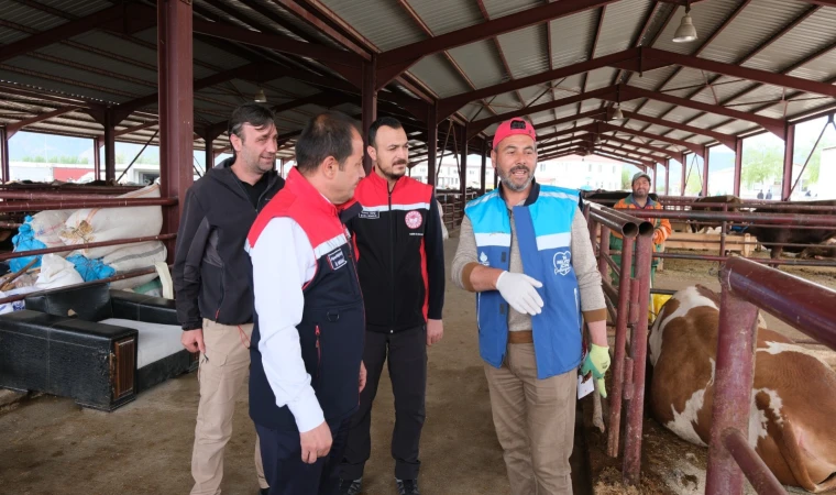 Erzincan Hayvan Pazarı’nda Bayram Yoğunluğu Zirveye Ulaştı