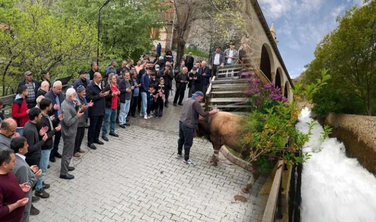 Kemaliye'de kadim bir gelenek yeniden yaşatılıyor