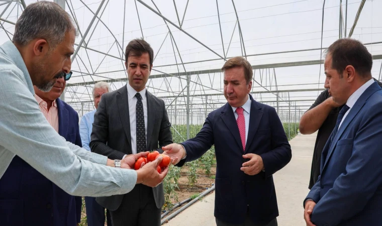 Vali Aydoğdu, Toplu Sera Bölgesi'nde Üretim Sürecini İnceledi