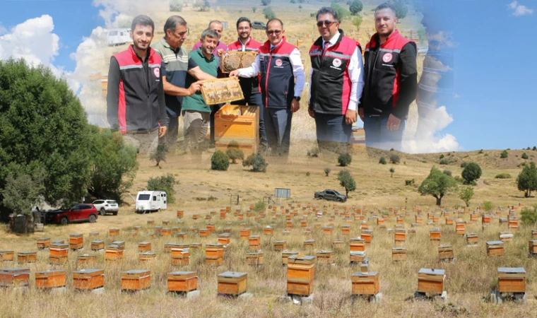Erzincan'da 110 bin Kovanla Bal Bereketi