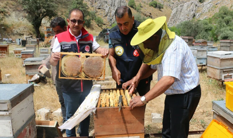 Erzincan’da Bal Bereketi Başladı