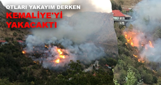 OTLARI YAKAYIM DERKEN KEMALİYE'Yİ YAKACAKTI