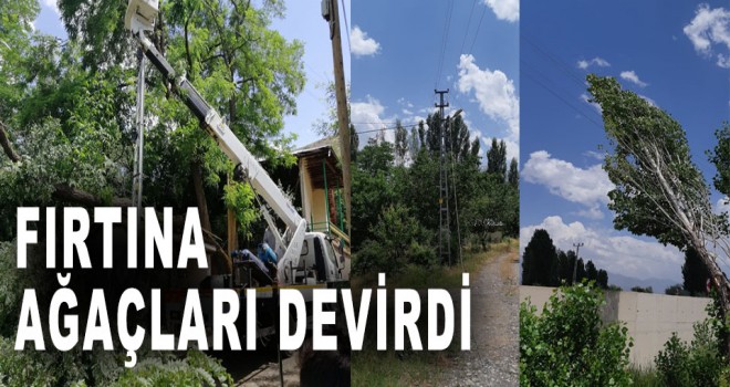 FIRTINA AĞAÇLARI DEVİRDİ