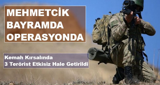 Erzincan'daki terör operasyonu