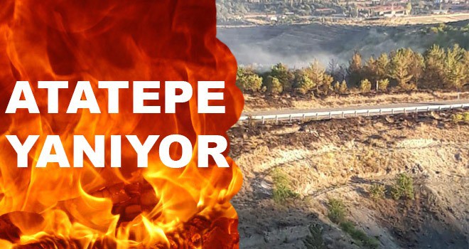 ATA TEPE YANIYOR