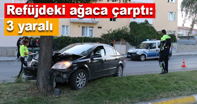 Otomobil refüjdeki ağaca çarptı: 3 yaralı