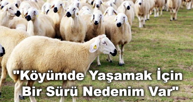 "Köyümde Yaşamak İçin Bir Sürü Nedenim Var"