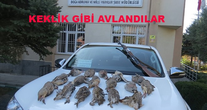 KEKLİK GİBİ AVLANDILAR