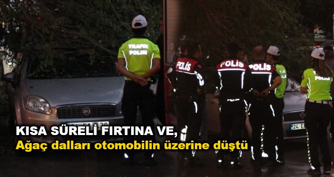 Rüzgarın devirdiği ağaç dalları otomobilin üzerine düştü