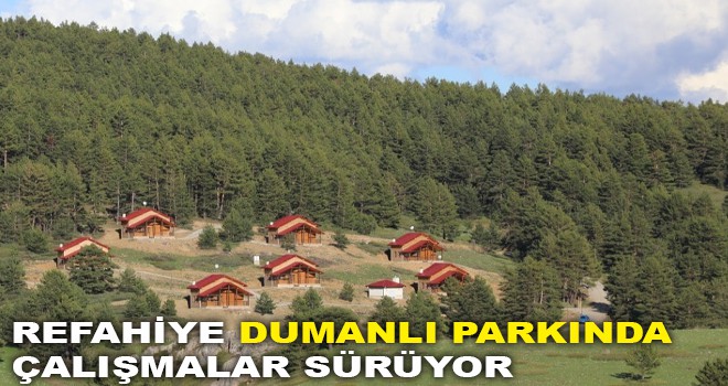 DUMANLI PARKINDA ÇALIŞMALAR SÜRÜYOR